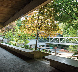 Photo of a student walkway. Link to Gifts of Life Insurance. Photo of a student walkway. Link to Gifts of Life Insurance.